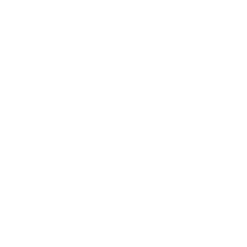 Reset Logo